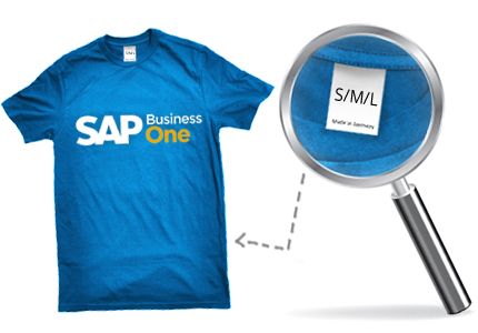 SAP Business One Size